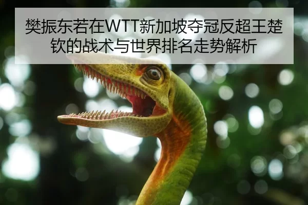 樊振东若在WTT新加坡夺冠反超王楚钦的战术与世界排名走势解析