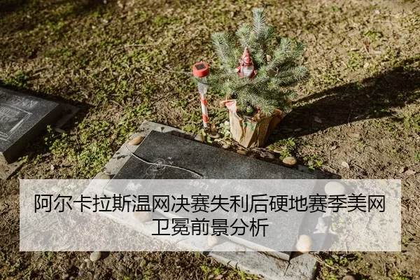 a-er-ka-la-si-wen-wang-jue-sai-shi-li-hou-ying-di-sai-ji-mei-wang-wei-mian-qian-jing-fen-xi-3-951.jpg