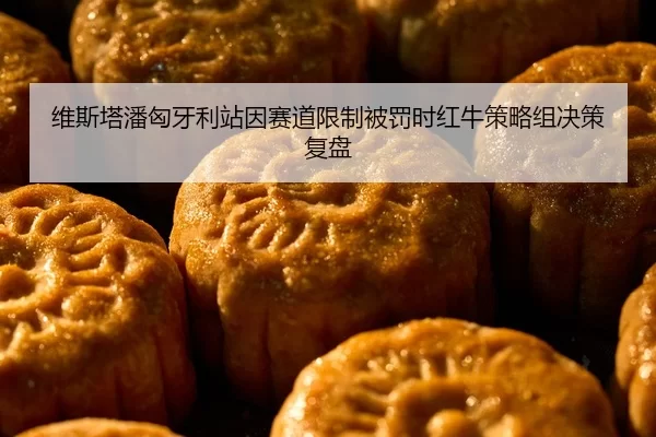 维斯塔潘匈牙利站因赛道限制被罚时红牛策略组决策复盘