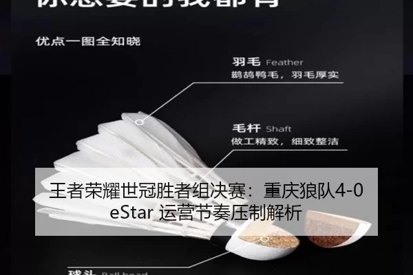 王者荣耀世冠胜者组决赛：重庆狼队4-0 eStar 运营节奏压制解析
